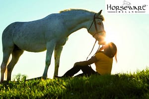 Horseware Pferdedecken Sommerbild